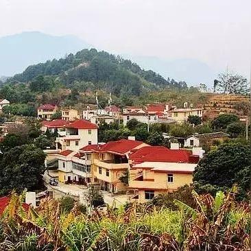 福建领导公示名单最新发布