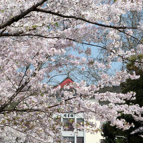 锦绣学府房价最新分析