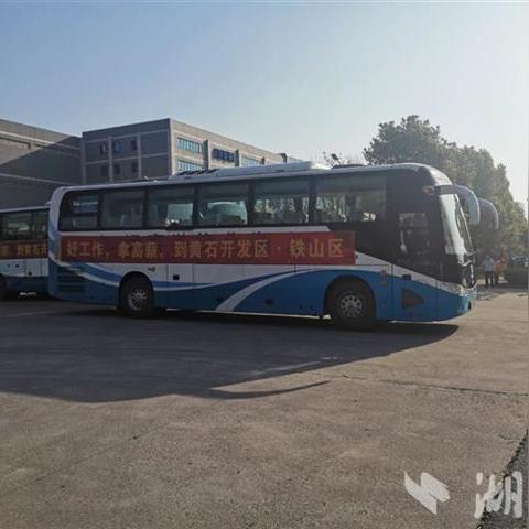 浠水网最新招聘信息全面解析