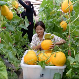 枣强门市最新出售信息