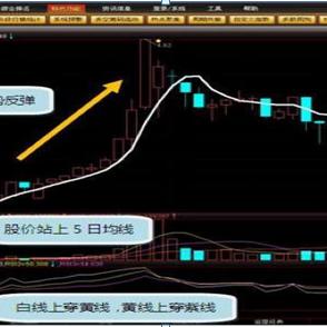 浙江富润股票行情深度解析