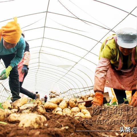 威宁石门最新动态报道