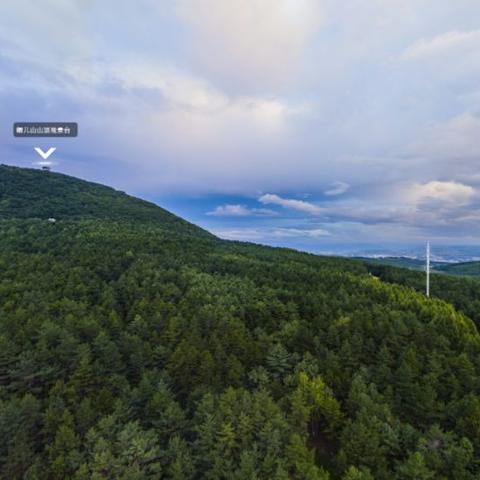 雨花石路面最新图案,设计美与实用完美结合