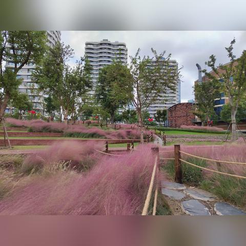 上海船厂获新里程碑订单，行业瞩目