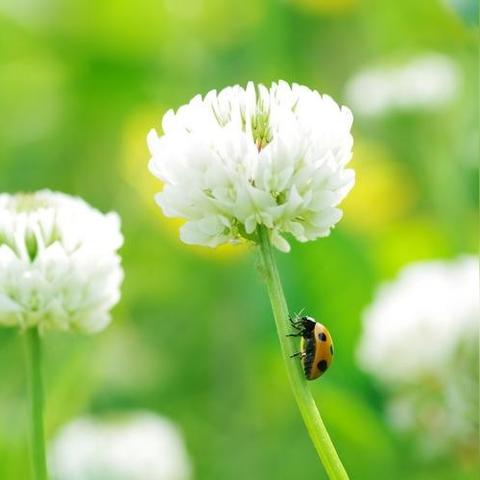 最新电影上映，电影魅力世界的探索