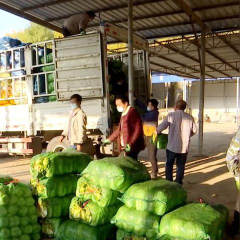 兰州疫情实时更新动态报告