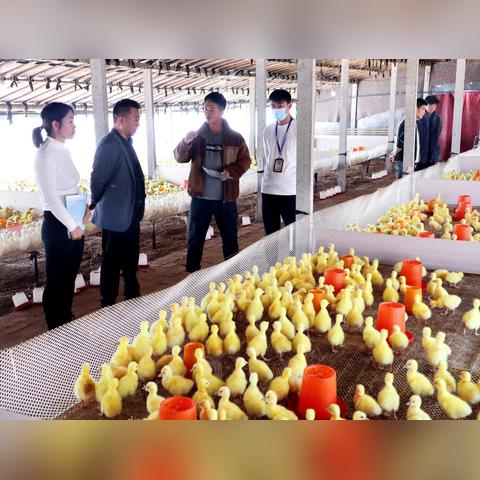 杞县担保公司最新资讯更新