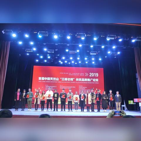 山阳论坛时事焦点,经济发展与社会进步综合报道