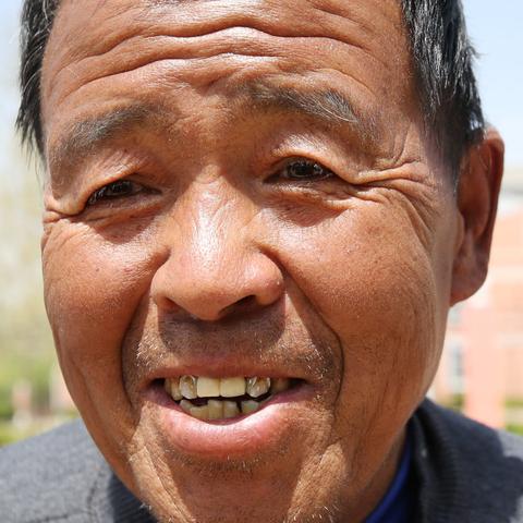 土豆新品种特性简介