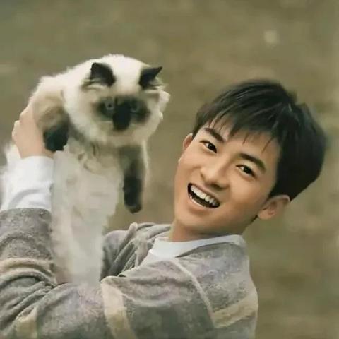 金城武魅力与影响力揭秘，最新照片曝光