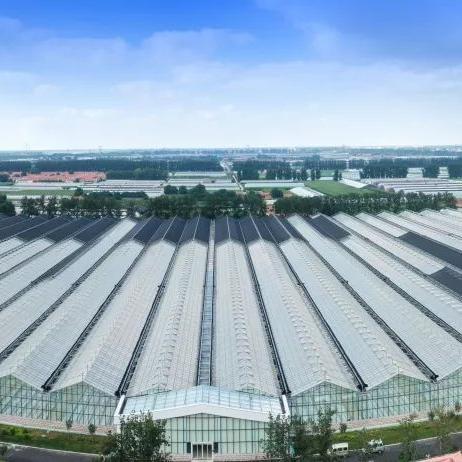 全方位解释：2025精准资料免费提供最新—垂直农业和成本质疑