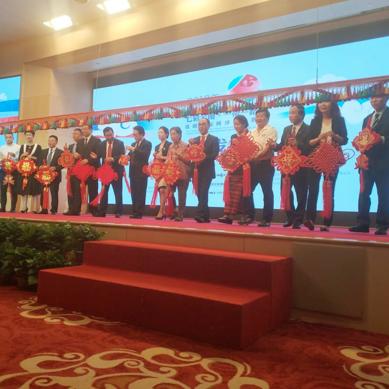 最新解读：2025澳门最精准正最精准—地方债置换和城投信仰弱化