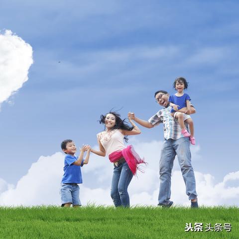 挣宠最新章节揭秘，宠物价值与挑战并存