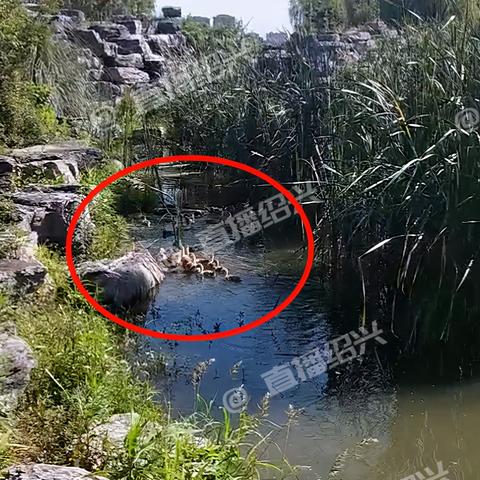 绍兴最新保安招聘信息速递