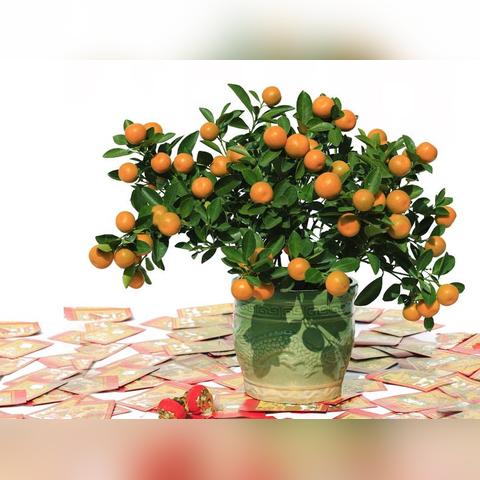 AI预测::新澳门精准正版免费提供—概念炒作/落地困难