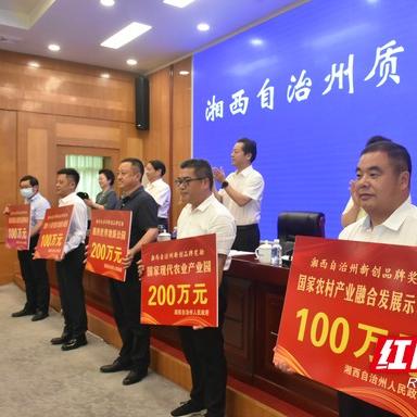 湘西州委常委最新名单解析及人事调整动态