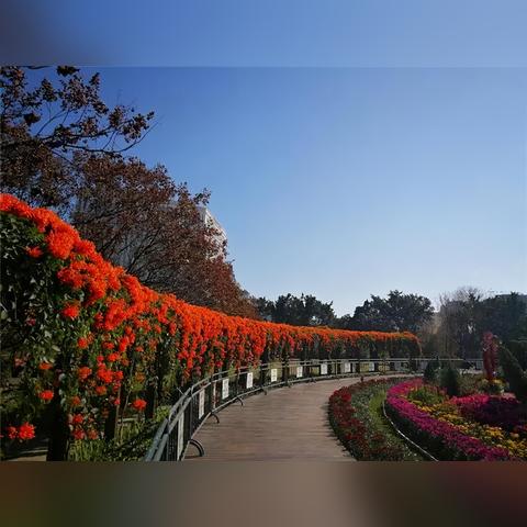 AI预测：：2025新澳门正版免费挂牌—风光大基地建设和随行版