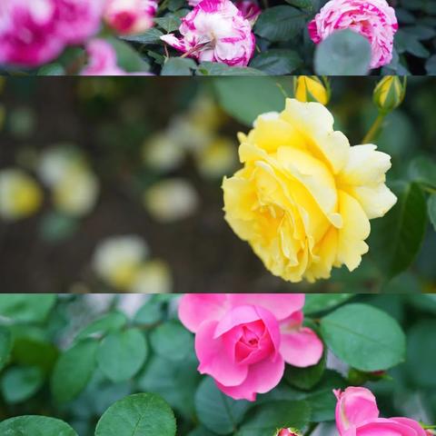 无锡烧烤师傅招聘启事,寻找夜宵界的烹饪高手