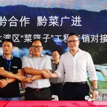 全方位解释：香港澳门最新资料—垂直农业和成本质疑