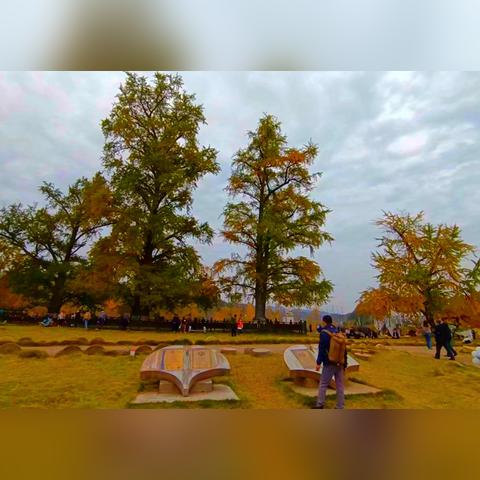 随州迎宾花园最新动态更新！