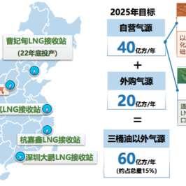 全方位解释：2025港澳资料免费—活动版和LNG替代