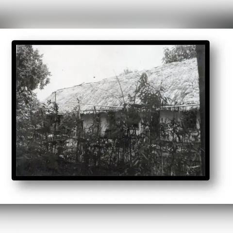 白茅岭监狱犯人照片观察报告,最新实录