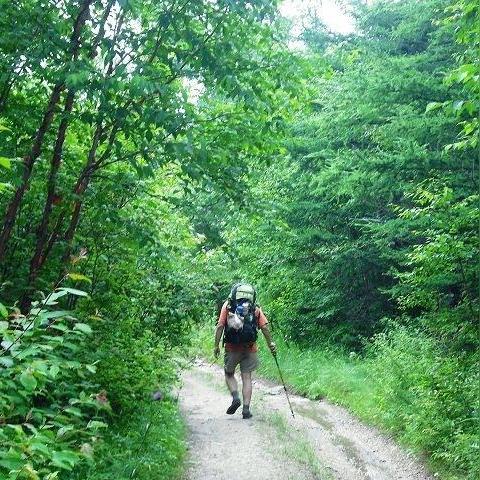 陕西国有林场改制深化，推动可持续发展