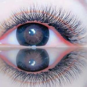 核桃嫁接技术详解视频解析