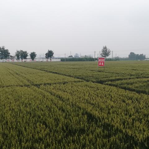 千百网址引领数字时代风潮