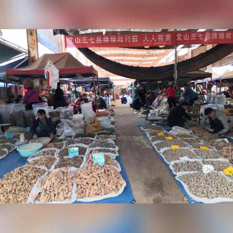 文山门面出租最新动态信息