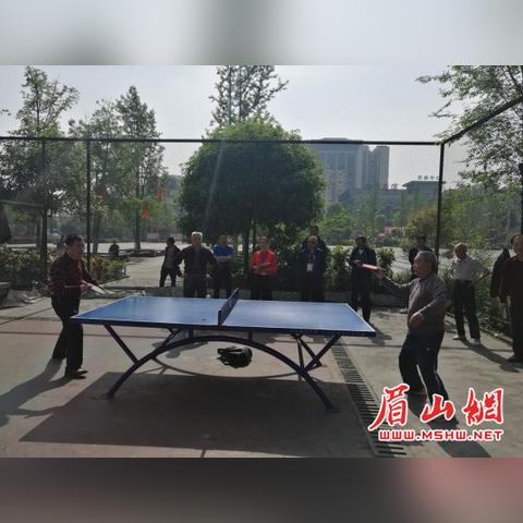 眉山最新干部调整动态分析