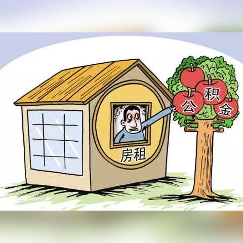 金乡租房信息大全，房屋全面解析及最新房源