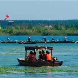 湖西农场最新动态报告解析