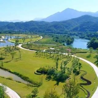 全球森林最新地图揭示覆盖率达XX%，绿色变革瞩目可见