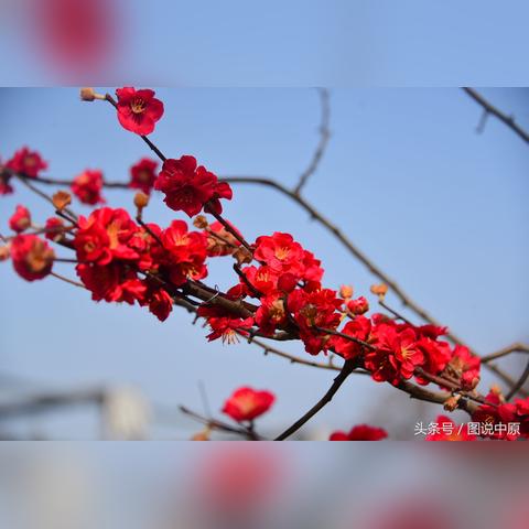 商丘商都公园建设最新进展揭秘