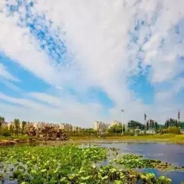 睢宁双沟房价走势及分析