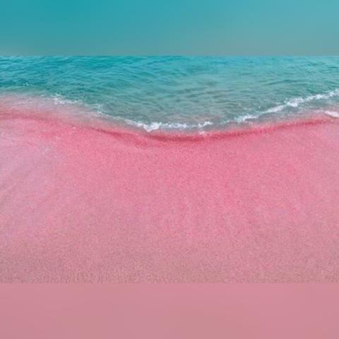 最新约会神器排行榜，科技助力浪漫之旅