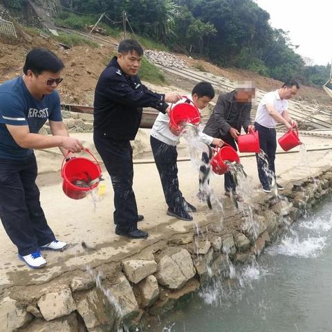 桂平三千城最新进展信息速递