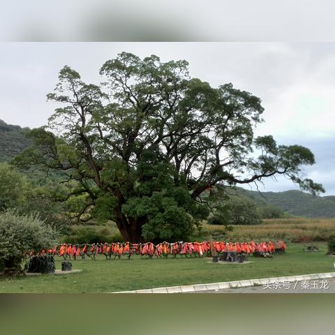 中国源畅公司最新公告解读