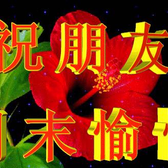 今世福非法集资事件最新进展深度解读