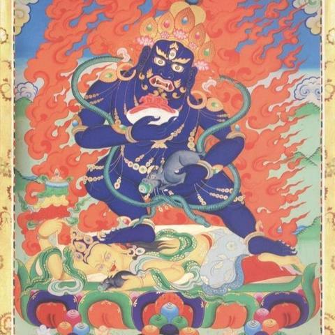 绿财神报彩图数据分析报告最新解读