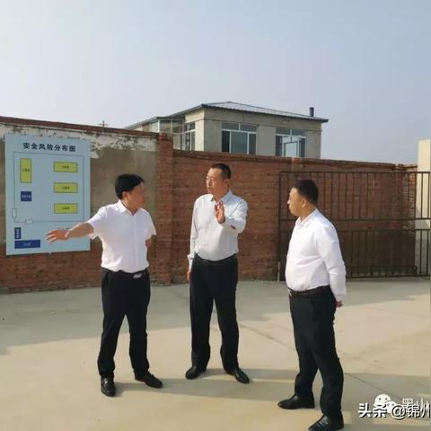 新疆黑山煤矿价格动态解析