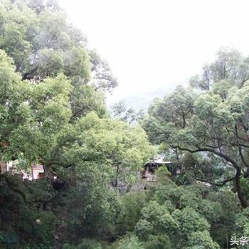 宝鸡至安康大巴最新行程、票价及升级服务介绍