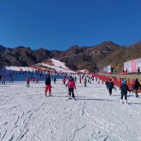 崇礼区冬奥安排细节揭秘，展现冬奥独特魅力