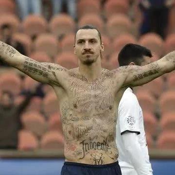 伊布进化揭秘,科技与基因融合奇迹