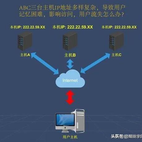 免费X网站域名全解析,最新体验来袭