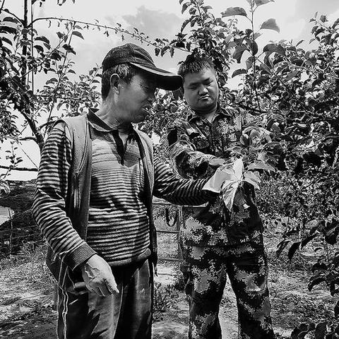 大邑沙渠搬迁最新进展分析