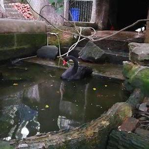 内江钓鱼网，钓鱼爱好者的交流乐园