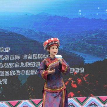 湖北巴东最新新闻动态