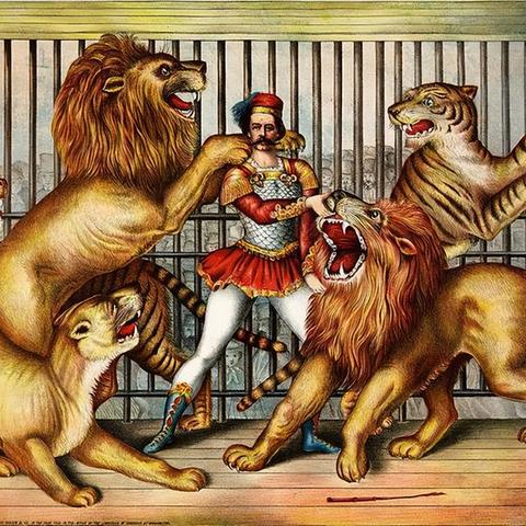 狮虎王者之争,最新震撼大战视频